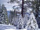 powderdayz