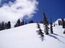 powderdayz