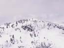 powderdayz-kon