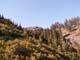 hiking