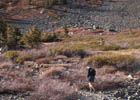 hiking Tallac