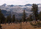 hiking Mt. Tallac