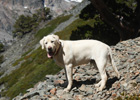 hiking