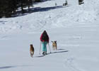 Skinning up Mount Tallac