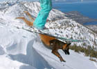Skier and dog on Tallac