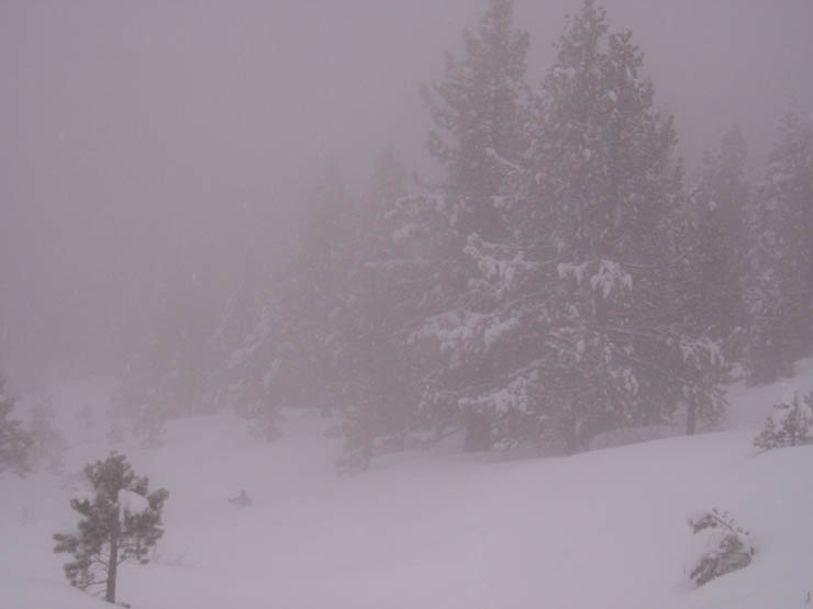 powderdayz