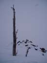 powderdayz