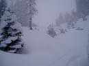 powderdayz