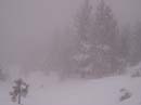 powderdayz