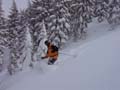 waterhousepow1