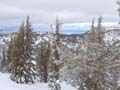 waterhousepow2