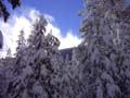 waterhousepow4