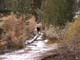 124-snowbridge