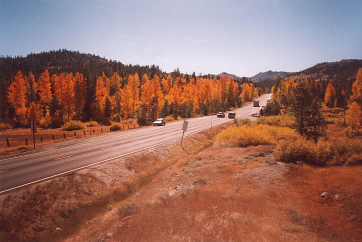 foliage-hope-valley
