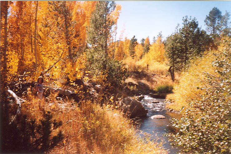 foliage-hope-valley
