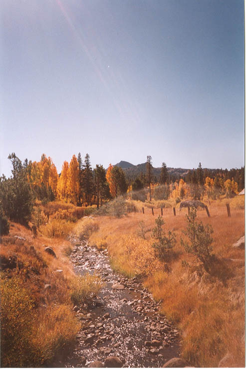 foliage-hope-valley