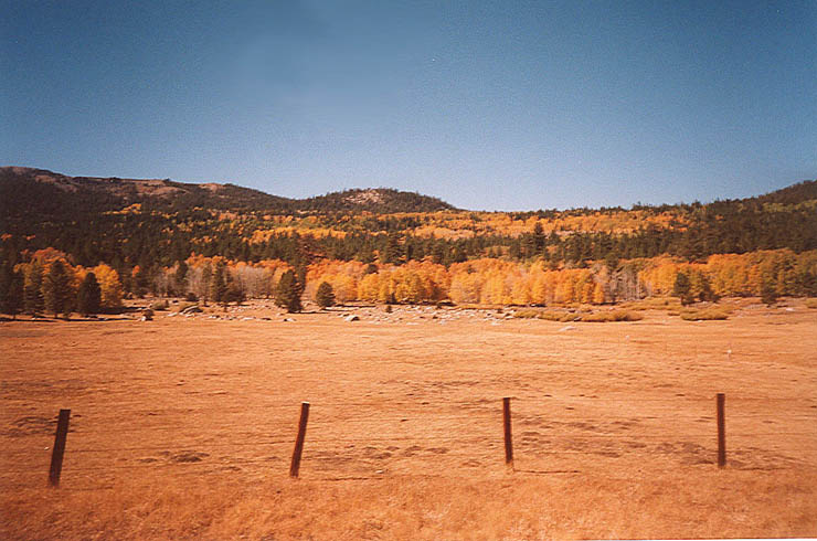 foliage-hope-valley