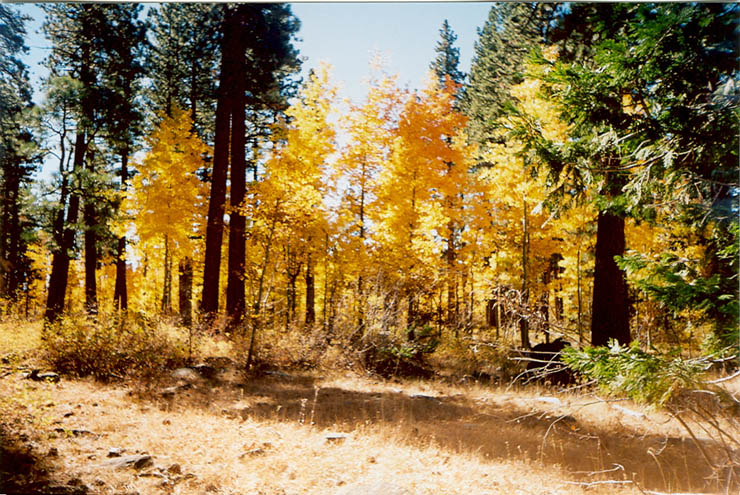 scan0001