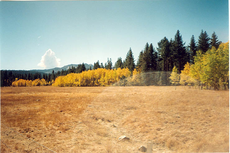 scan0006