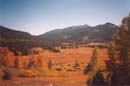 foliage-hope-valley