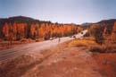 foliage-hope-valley