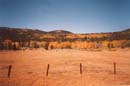 foliage-hope-valley