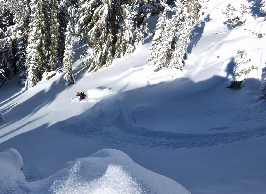 powder skiing