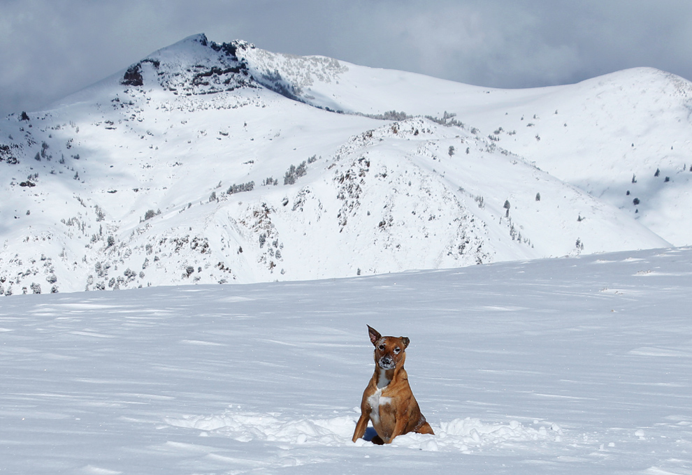 backcountry skiing