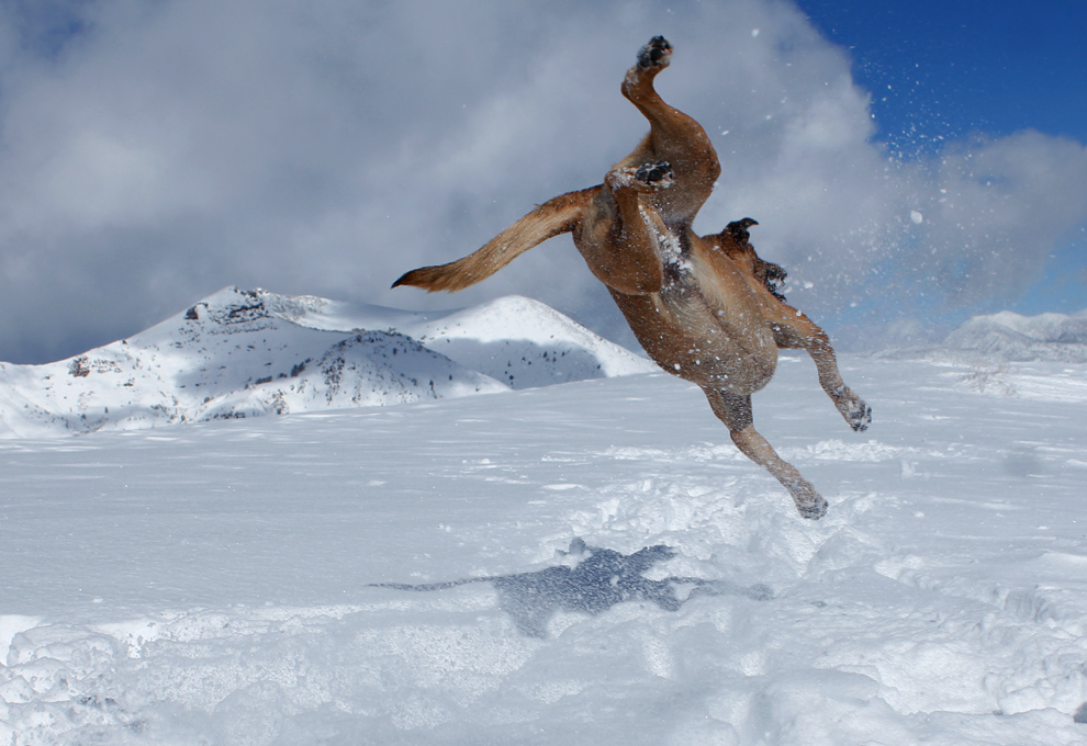 backcountry skiing