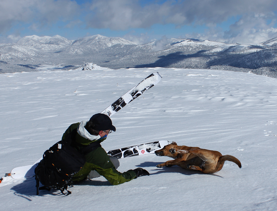 backcountry skiing