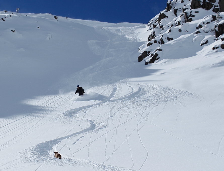 backcountry skiing