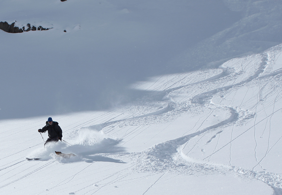 backcountry skiing