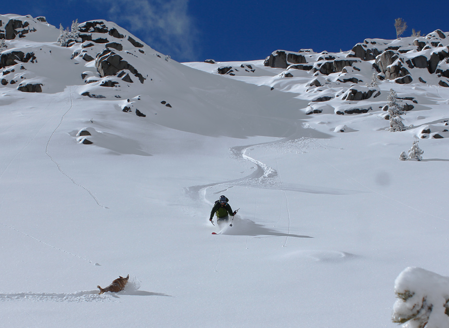 backcountry skiing