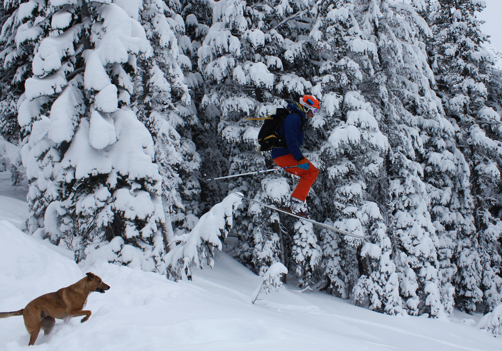 powder skiing