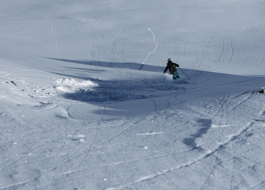 powder skiing