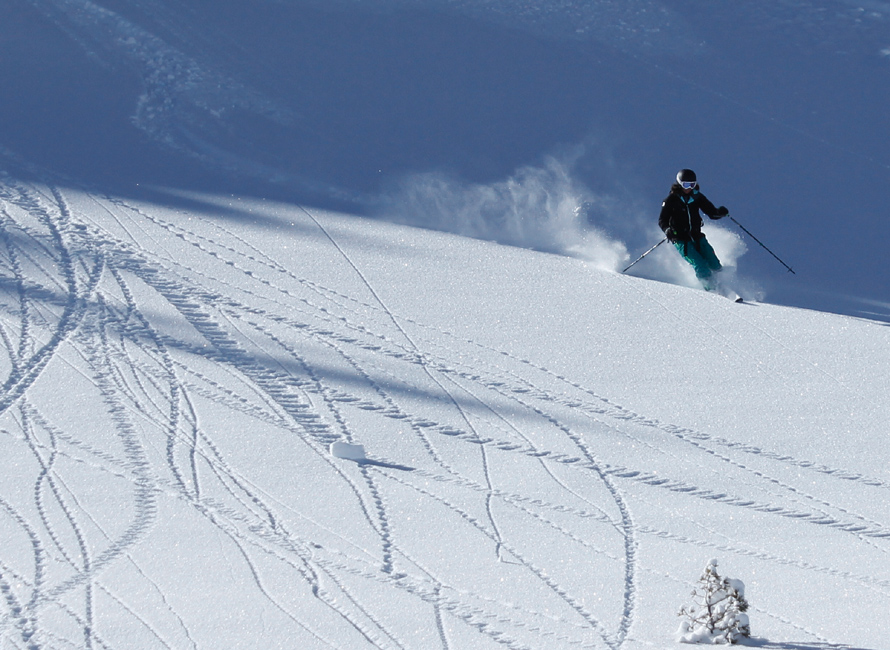 powder skiing