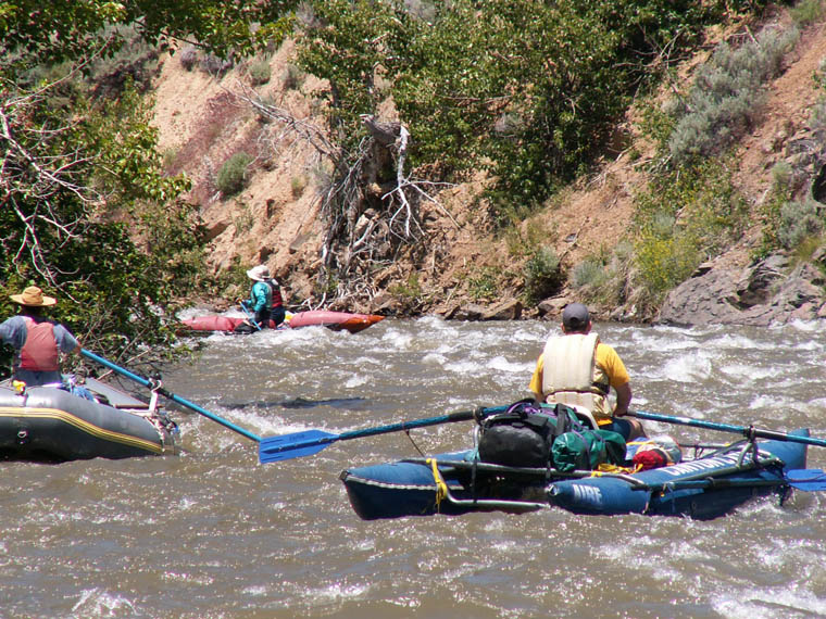 Traffic on the east Fork of the Carson River