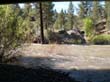Lily lake