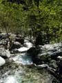 rafting