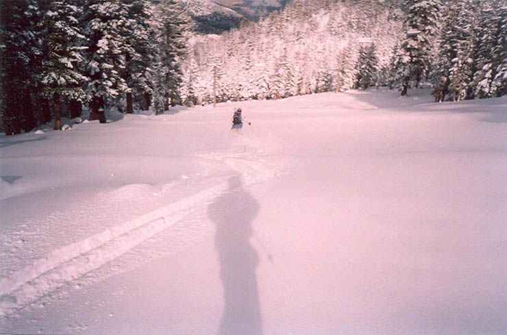 scan0004