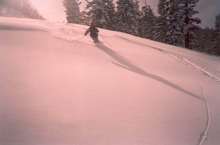 scan0005