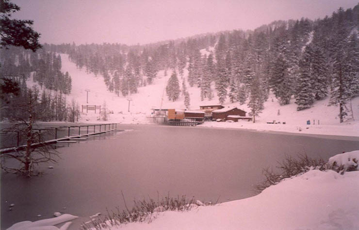scan0008