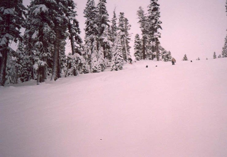 scan0009