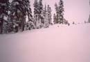 scan0009