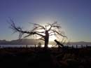 tahoe-sunset