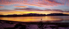 Edgewood Sunset